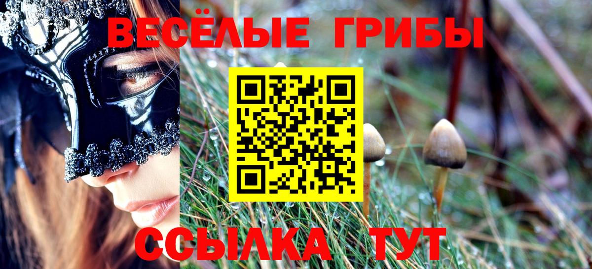Галлюциногенные грибы мицелий Тамбов